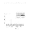 ANTI-LGR5 ANTIBODIES AND IMMUNOCONJUGATES diagram and image