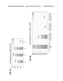 ANTI-LGR5 ANTIBODIES AND IMMUNOCONJUGATES diagram and image