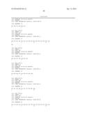 ANTI-LGR5 ANTIBODIES AND IMMUNOCONJUGATES diagram and image