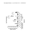 ANTI-LGR5 ANTIBODIES AND IMMUNOCONJUGATES diagram and image