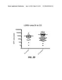 ANTI-LGR5 ANTIBODIES AND IMMUNOCONJUGATES diagram and image