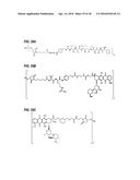 ANTI-LGR5 ANTIBODIES AND IMMUNOCONJUGATES diagram and image