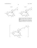 ANTI-LGR5 ANTIBODIES AND IMMUNOCONJUGATES diagram and image