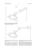 ANTI-LGR5 ANTIBODIES AND IMMUNOCONJUGATES diagram and image