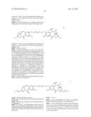 ANTI-LGR5 ANTIBODIES AND IMMUNOCONJUGATES diagram and image