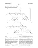 ANTI-LGR5 ANTIBODIES AND IMMUNOCONJUGATES diagram and image