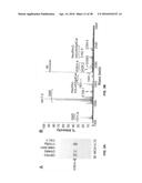 COMPOSITIONS AND METHODS FOR TREATMENT AND DETECTION OF CANCERS diagram and image