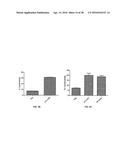 COMPOSITIONS AND METHODS FOR TREATMENT AND DETECTION OF CANCERS diagram and image