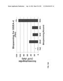 COMPOSITIONS AND METHODS FOR TREATMENT AND DETECTION OF CANCERS diagram and image