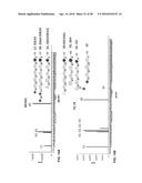 COMPOSITIONS AND METHODS FOR TREATMENT AND DETECTION OF CANCERS diagram and image