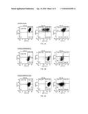 IDENTIFICATION AND ISOLATION OF HUMAN CORNEAL ENDOTHELIAL CELLS (HCECS) diagram and image