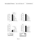 IDENTIFICATION AND ISOLATION OF HUMAN CORNEAL ENDOTHELIAL CELLS (HCECS) diagram and image