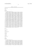 IDENTIFICATION AND ISOLATION OF HUMAN CORNEAL ENDOTHELIAL CELLS (HCECS) diagram and image