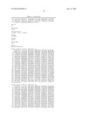 IDENTIFICATION AND ISOLATION OF HUMAN CORNEAL ENDOTHELIAL CELLS (HCECS) diagram and image