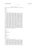 IDENTIFICATION AND ISOLATION OF HUMAN CORNEAL ENDOTHELIAL CELLS (HCECS) diagram and image