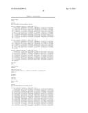 IDENTIFICATION AND ISOLATION OF HUMAN CORNEAL ENDOTHELIAL CELLS (HCECS) diagram and image