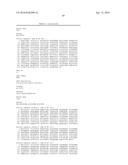 IDENTIFICATION AND ISOLATION OF HUMAN CORNEAL ENDOTHELIAL CELLS (HCECS) diagram and image