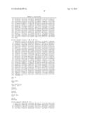 IDENTIFICATION AND ISOLATION OF HUMAN CORNEAL ENDOTHELIAL CELLS (HCECS) diagram and image