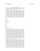 IDENTIFICATION AND ISOLATION OF HUMAN CORNEAL ENDOTHELIAL CELLS (HCECS) diagram and image