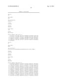 IDENTIFICATION AND ISOLATION OF HUMAN CORNEAL ENDOTHELIAL CELLS (HCECS) diagram and image