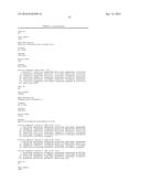 IDENTIFICATION AND ISOLATION OF HUMAN CORNEAL ENDOTHELIAL CELLS (HCECS) diagram and image