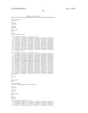 IDENTIFICATION AND ISOLATION OF HUMAN CORNEAL ENDOTHELIAL CELLS (HCECS) diagram and image