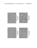 ISOLATION AND CULTIVATION OF STEM/PROGENITOR CELLS FROM THE AMNIOTIC     MEMBRANE OF UMBILICAL CORD AND USES OF CELLS DIFFERENTIATED THEREFROM diagram and image