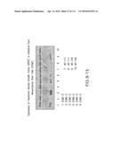 ISOLATION AND CULTIVATION OF STEM/PROGENITOR CELLS FROM THE AMNIOTIC     MEMBRANE OF UMBILICAL CORD AND USES OF CELLS DIFFERENTIATED THEREFROM diagram and image