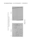 ISOLATION AND CULTIVATION OF STEM/PROGENITOR CELLS FROM THE AMNIOTIC     MEMBRANE OF UMBILICAL CORD AND USES OF CELLS DIFFERENTIATED THEREFROM diagram and image