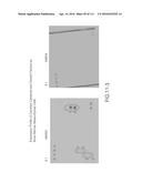 ISOLATION AND CULTIVATION OF STEM/PROGENITOR CELLS FROM THE AMNIOTIC     MEMBRANE OF UMBILICAL CORD AND USES OF CELLS DIFFERENTIATED THEREFROM diagram and image