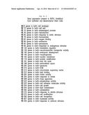 ISOLATION AND CULTIVATION OF STEM/PROGENITOR CELLS FROM THE AMNIOTIC     MEMBRANE OF UMBILICAL CORD AND USES OF CELLS DIFFERENTIATED THEREFROM diagram and image