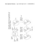 ISOLATION AND CULTIVATION OF STEM/PROGENITOR CELLS FROM THE AMNIOTIC     MEMBRANE OF UMBILICAL CORD AND USES OF CELLS DIFFERENTIATED THEREFROM diagram and image