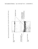 ISOLATION AND CULTIVATION OF STEM/PROGENITOR CELLS FROM THE AMNIOTIC     MEMBRANE OF UMBILICAL CORD AND USES OF CELLS DIFFERENTIATED THEREFROM diagram and image