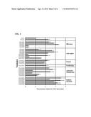 EXOGENOUS TERMINATORS FOR CONTROLLING FUNGAL GENE EXPRESSION diagram and image