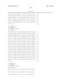 PLANTS HAVING INCREASED TOLERANCE TO HERBICIDES diagram and image