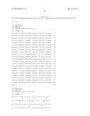 PLANTS HAVING INCREASED TOLERANCE TO HERBICIDES diagram and image