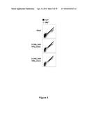 A LAGLIDADG HOMING ENDONUCLEASE CLEAVING THE C-C CHEMOKINE RECEPTOR TYPE-5     (CCR5) GENE AND USES THEREOF diagram and image