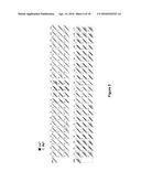 A LAGLIDADG HOMING ENDONUCLEASE CLEAVING THE C-C CHEMOKINE RECEPTOR TYPE-5     (CCR5) GENE AND USES THEREOF diagram and image