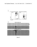 A LAGLIDADG HOMING ENDONUCLEASE CLEAVING THE C-C CHEMOKINE RECEPTOR TYPE-5     (CCR5) GENE AND USES THEREOF diagram and image