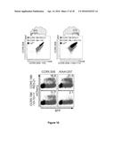 A LAGLIDADG HOMING ENDONUCLEASE CLEAVING THE C-C CHEMOKINE RECEPTOR TYPE-5     (CCR5) GENE AND USES THEREOF diagram and image