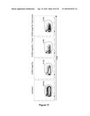 A LAGLIDADG HOMING ENDONUCLEASE CLEAVING THE C-C CHEMOKINE RECEPTOR TYPE-5     (CCR5) GENE AND USES THEREOF diagram and image