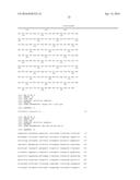 A LAGLIDADG HOMING ENDONUCLEASE CLEAVING THE C-C CHEMOKINE RECEPTOR TYPE-5     (CCR5) GENE AND USES THEREOF diagram and image