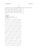 A LAGLIDADG HOMING ENDONUCLEASE CLEAVING THE C-C CHEMOKINE RECEPTOR TYPE-5     (CCR5) GENE AND USES THEREOF diagram and image