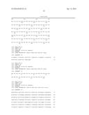 A LAGLIDADG HOMING ENDONUCLEASE CLEAVING THE C-C CHEMOKINE RECEPTOR TYPE-5     (CCR5) GENE AND USES THEREOF diagram and image