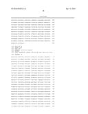 A LAGLIDADG HOMING ENDONUCLEASE CLEAVING THE C-C CHEMOKINE RECEPTOR TYPE-5     (CCR5) GENE AND USES THEREOF diagram and image