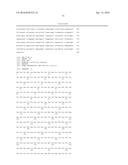 A LAGLIDADG HOMING ENDONUCLEASE CLEAVING THE C-C CHEMOKINE RECEPTOR TYPE-5     (CCR5) GENE AND USES THEREOF diagram and image