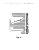 BIOLOGICAL INDICATOR diagram and image