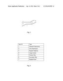 METHOD FOR INFERRING TYPE OF ROAD SEGMENT diagram and image