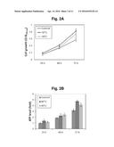 CONSTRUCTION OF MITOCHONDRIAL UQCRB MUTANT EXPRESSING CELLS AND     UTILIZATION OF THE CELLS FOR UQCRB ASSAY SYSTEM THEREOF diagram and image