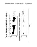 METHODS FOR DIAGNOSIS AND PROGNOSIS OF CANCERS OF EPITHELIAL ORIGIN diagram and image